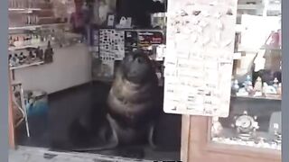 #viral#viral#viral#viral