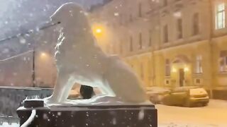 Snow Peter