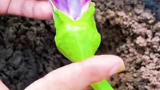 UniqueGrowing pear very easy to get fruitful #meijinggar
