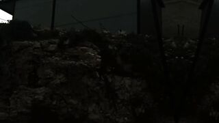 الشركة العالمية للشحن السريع