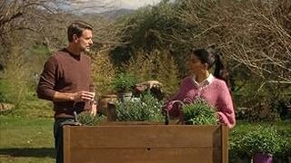 La Dolce Villa (2025) Filme - Parte 1