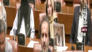 Aun Abbas Bappi was presented to the Senate