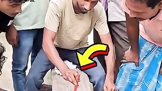 Street trick that will trick your eyes