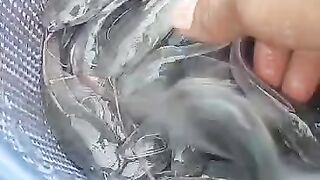 Sampling ikan lele untuk mengetahui tingkat pertumbuhan lakukan di 15 hari sekali