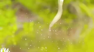জীবনে এমন একজন দরকার