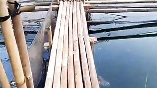 KOLAM JARING APUNG UNTUK PEMBESARAN LELE