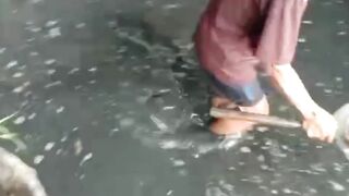 PANEN dan UNTUNG adalah tujuan kita semua dalam budidaya lele