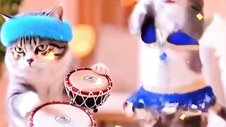 So cute funny video