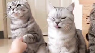الصغيرة والطفل وتفاعلهما مع بعضهما البعض. فيما يلي