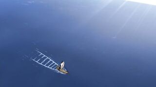 Naruto Shippuden [English Dub] - Episode 232