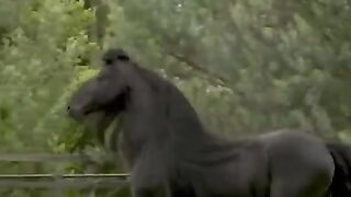 انه الجمال ياساده