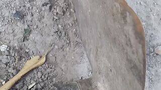 Funny new