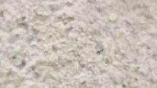 Pertajam penglihatan kalian dibatu ini banyak telur lele yang warnanya sama dengan batu
