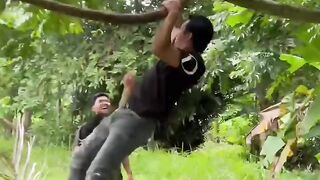 Fell from the tree