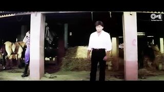 Tumhein dekhe meri