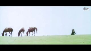 Teri mohabbat