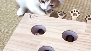 The cat got a stroke with its tail during