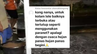 Kolam lele sebaiknya terbuka tanpa penutup, atau dipasang penutup paranet