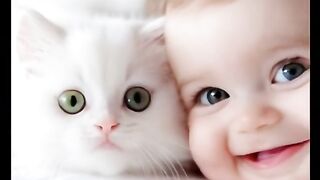Funny cat core