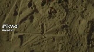 مسلسل المداح