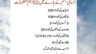 Information