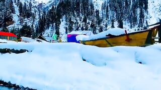 Payara pakistsn