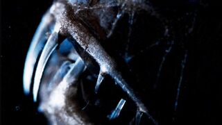 Janaitis Nordic Sea (Demo) Music Video