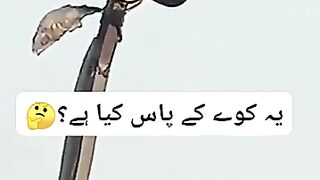 Isane kya kar diya ????