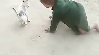 Baby & cat playing