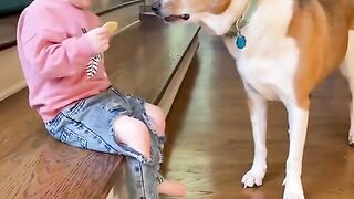 Funny short video