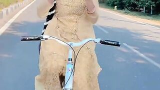 New funny TikTok video 2023
