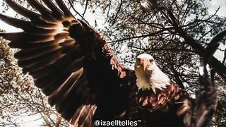 motivaçaodiaria