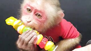He's Cute Monkey Review Candy Hamburger