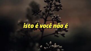 motivaçaodiaria