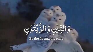 Beautiful recitation ????
