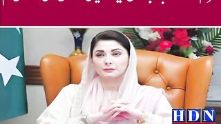 Maryam Nawaz's new local government law in Punjab