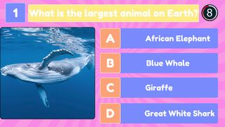 Animal quiz questions