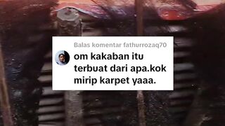 Manfaat KAKABAN untuk pemijahan lele yang jarang diketahui