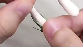 Awesome