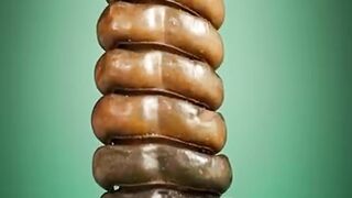 Rattlesnake Rattle EXPOSED! The Truth Will Shock You!