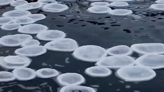 These ice pancakes float on the surface of the water, creating an unusual landscape