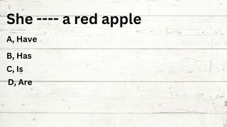 Grammar Quiz for Beginners