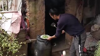 Viral vidio