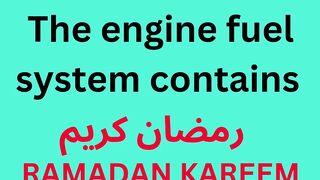 The engine fuel system contains