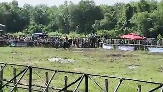 Buffalo Fighting Sports