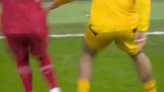 Algerian Skills