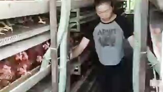 China’s Controversial Farm Hack — Genius or Disgusting?