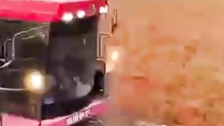 China’s Secret Farming Hack — The World Wasn’t Ready for This Innovation