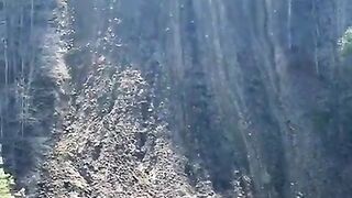 Honda CRF450R climbing up undefeated