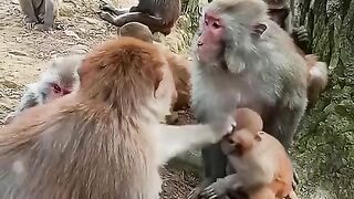 want to be with his mother pretending to tease his son